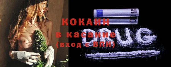 ECSTASY Дмитриев