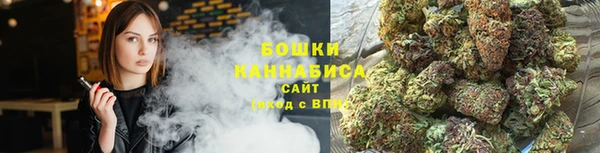 альфа пвп Дмитровск