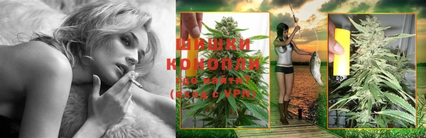 прущая мука Дмитров
