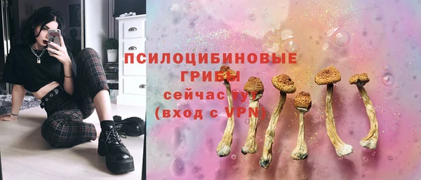 прущая мука Дмитров